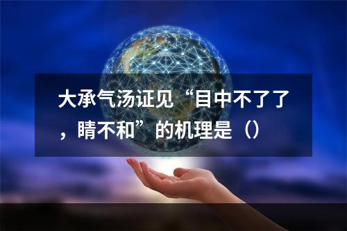 大承气汤证见“目中不了了，睛不和”的机理是（）