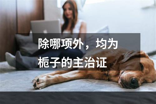 除哪项外，均为栀子的主治证