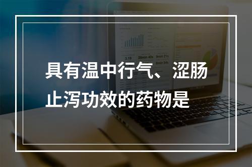 具有温中行气、涩肠止泻功效的药物是