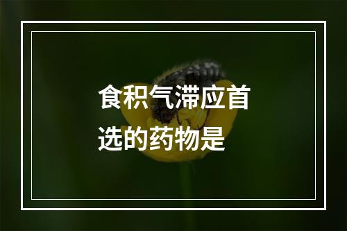 食积气滞应首选的药物是