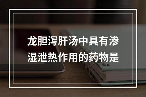 龙胆泻肝汤中具有渗湿泄热作用的药物是