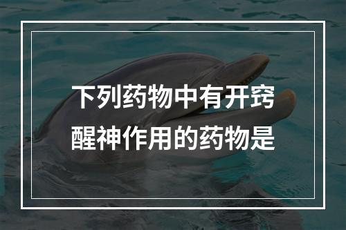 下列药物中有开窍醒神作用的药物是