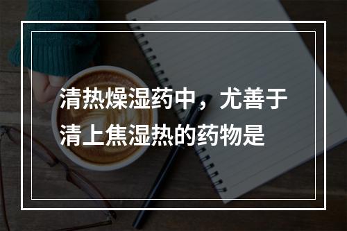 清热燥湿药中，尤善于清上焦湿热的药物是