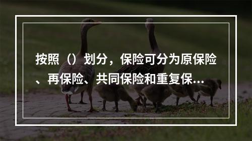 按照（）划分，保险可分为原保险、再保险、共同保险和重复保险等