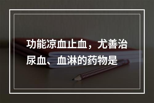 功能凉血止血，尤善治尿血、血淋的药物是