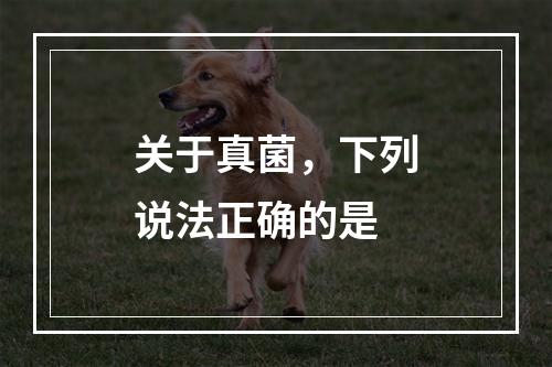 关于真菌，下列说法正确的是