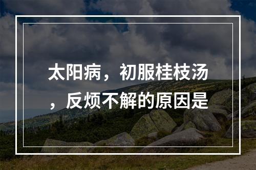 太阳病，初服桂枝汤，反烦不解的原因是