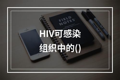 HIV可感染组织中的()