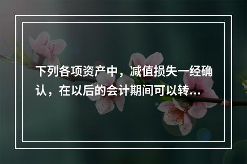 下列各项资产中，减值损失一经确认，在以后的会计期间可以转回的