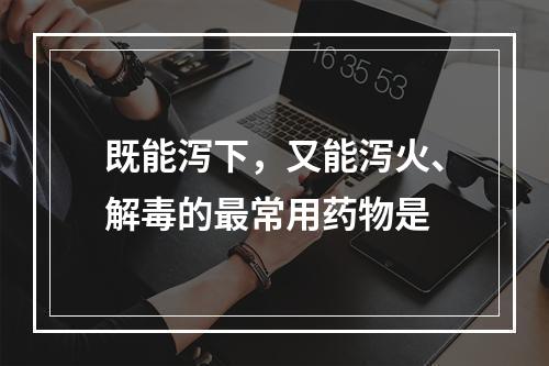 既能泻下，又能泻火、解毒的最常用药物是