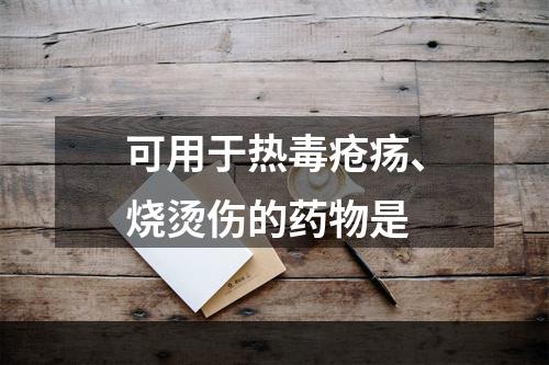 可用于热毒疮疡、烧烫伤的药物是