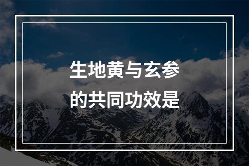 生地黄与玄参的共同功效是