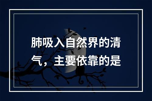 肺吸入自然界的清气，主要依靠的是