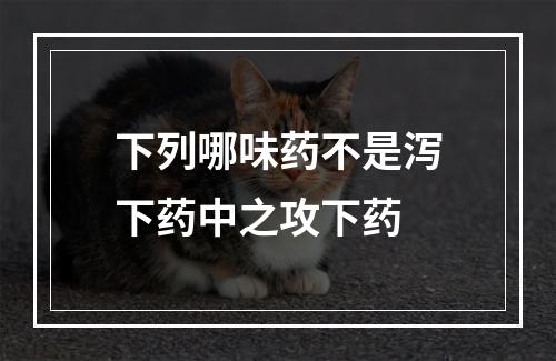 下列哪味药不是泻下药中之攻下药