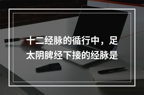 十二经脉的循行中，足太阴脾经下接的经脉是