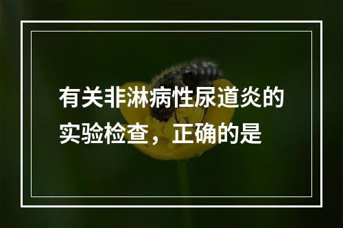 有关非淋病性尿道炎的实验检查，正确的是