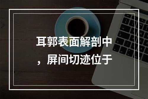 耳郭表面解剖中，屏间切迹位于