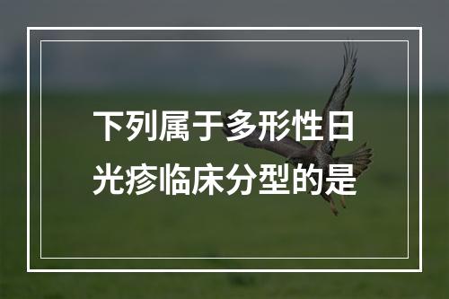 下列属于多形性日光疹临床分型的是