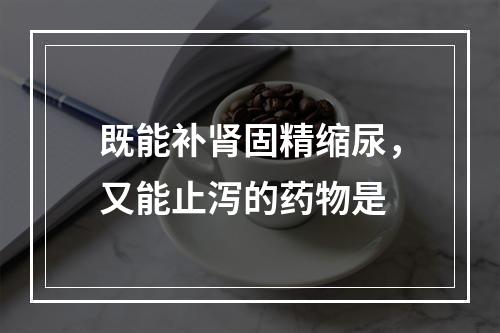 既能补肾固精缩尿，又能止泻的药物是