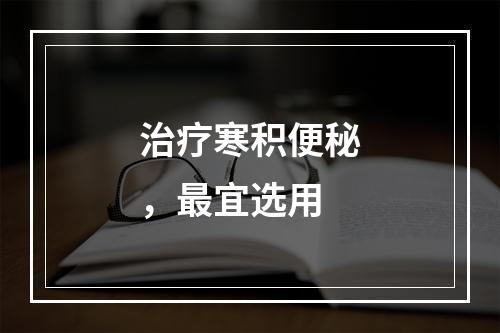 治疗寒积便秘，最宜选用