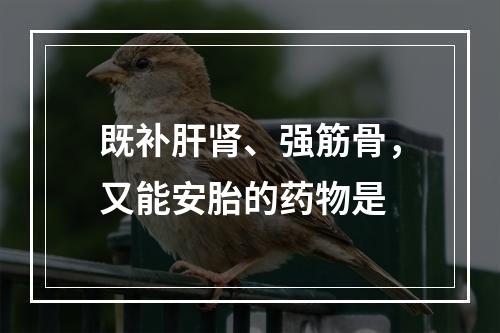 既补肝肾、强筋骨，又能安胎的药物是