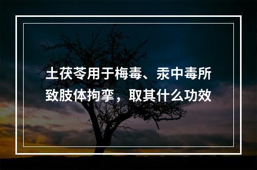 土茯苓用于梅毒、汞中毒所致肢体拘挛，取其什么功效