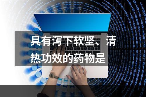 具有泻下软坚、清热功效的药物是