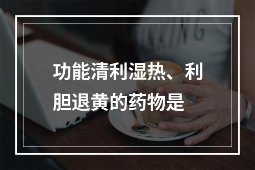 功能清利湿热、利胆退黄的药物是