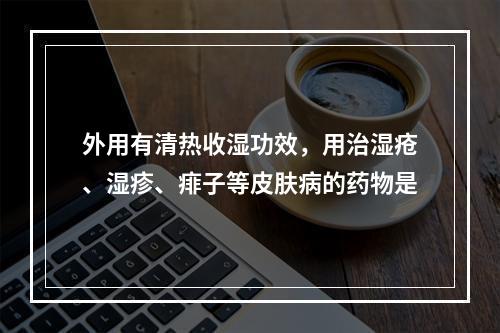 外用有清热收湿功效，用治湿疮、湿疹、痱子等皮肤病的药物是