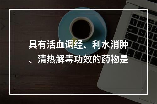 具有活血调经、利水消肿、清热解毒功效的药物是