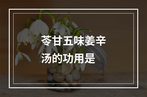 苓甘五味姜辛汤的功用是