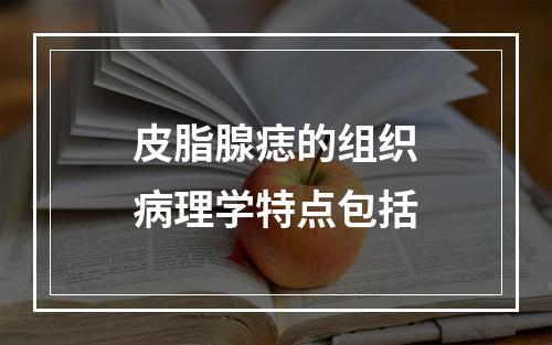 皮脂腺痣的组织病理学特点包括