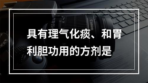 具有理气化痰、和胃利胆功用的方剂是