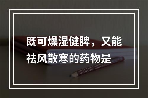 既可燥湿健脾，又能祛风散寒的药物是