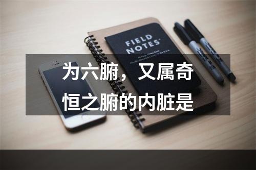 为六腑，又属奇恒之腑的内脏是