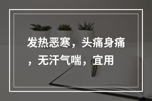 发热恶寒，头痛身痛，无汗气喘，宜用