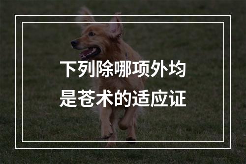 下列除哪项外均是苍术的适应证