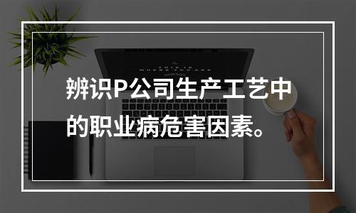 辨识P公司生产工艺中的职业病危害因素。