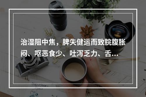 治湿阻中焦，脾失健运而致脘腹胀闷、呕恶食少、吐泻乏力、舌苔白