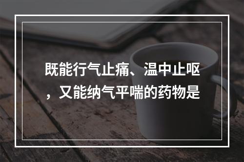 既能行气止痛、温中止呕，又能纳气平喘的药物是