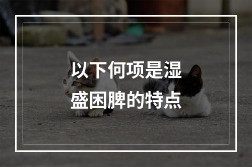 以下何项是湿盛困脾的特点