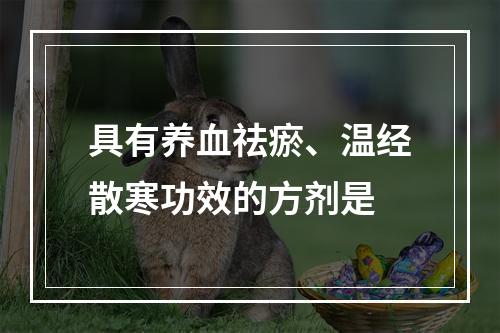 具有养血祛瘀、温经散寒功效的方剂是