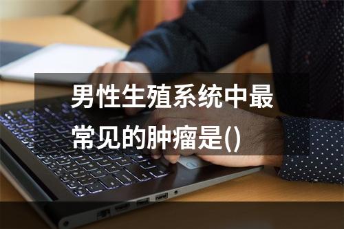 男性生殖系统中最常见的肿瘤是()