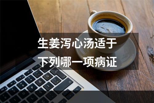 生姜泻心汤适于下列哪一项病证