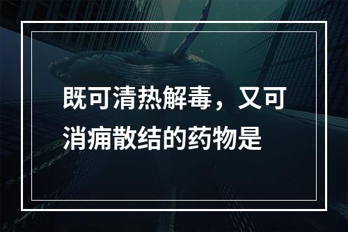 既可清热解毒，又可消痈散结的药物是