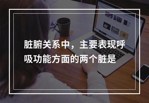 脏腑关系中，主要表现呼吸功能方面的两个脏是