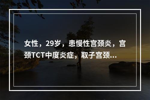 女性，29岁，患慢性宫颈炎，宫颈TCT中度炎症，取子宫颈组织