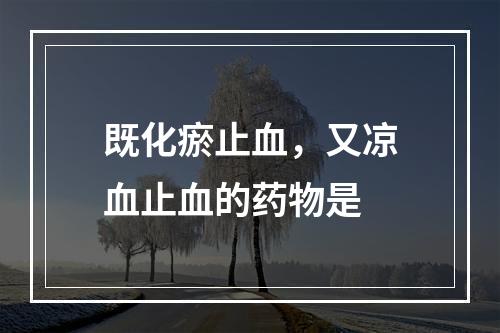 既化瘀止血，又凉血止血的药物是