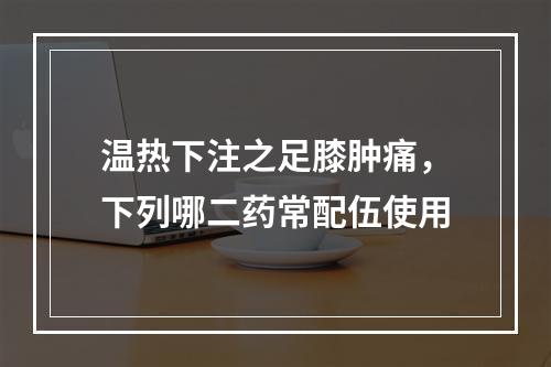 温热下注之足膝肿痛，下列哪二药常配伍使用