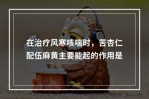 在治疗风寒咳喘时，苦杏仁配伍麻黄主要能起的作用是